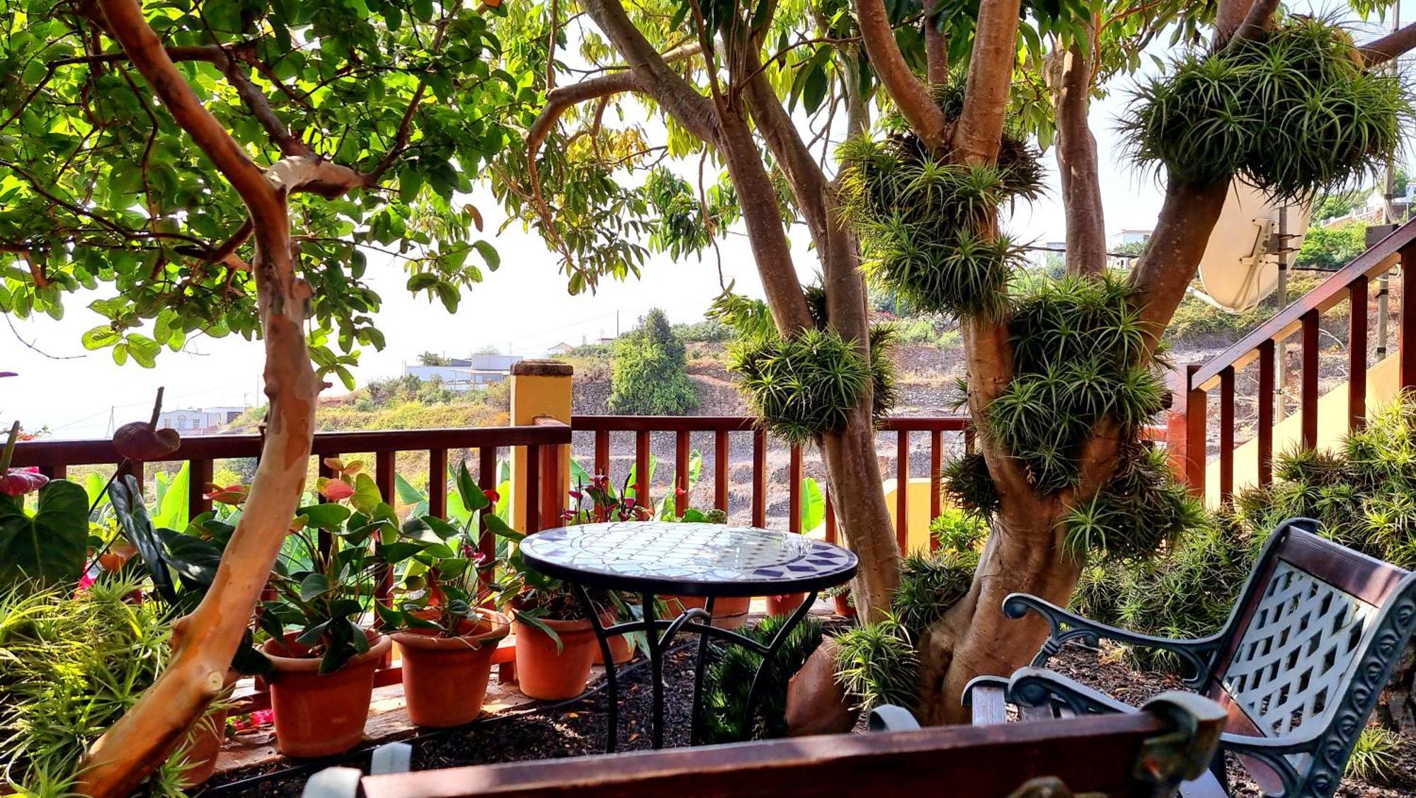 Los Nacientes: Cordero Los Sauces Exterior foto